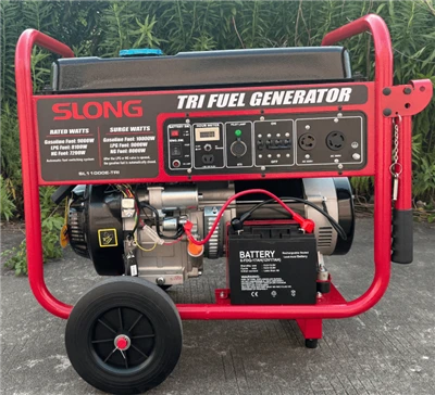 Trijų degalų 220V 50HZ 9,5kw nešiojamas LPG NG benzino generatorius